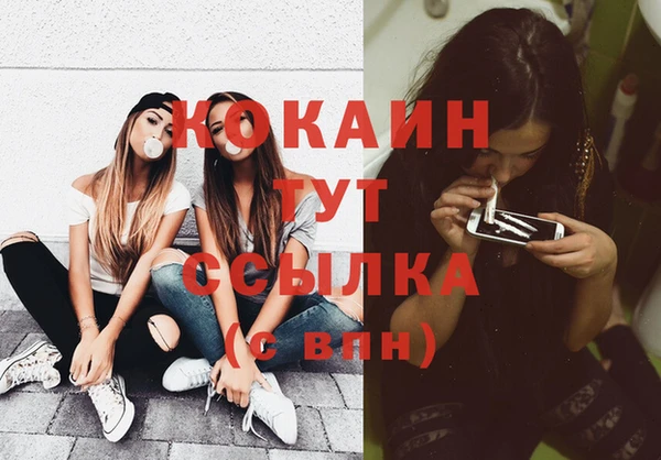 PSILOCYBIN Новодвинск