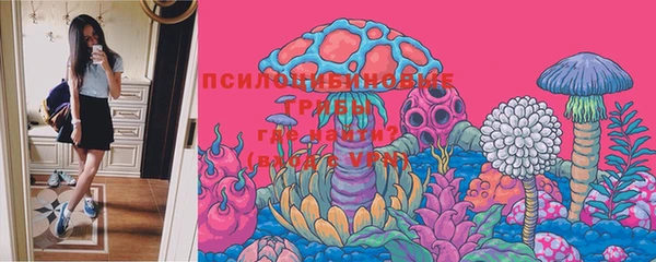 прущая мука Белокуриха